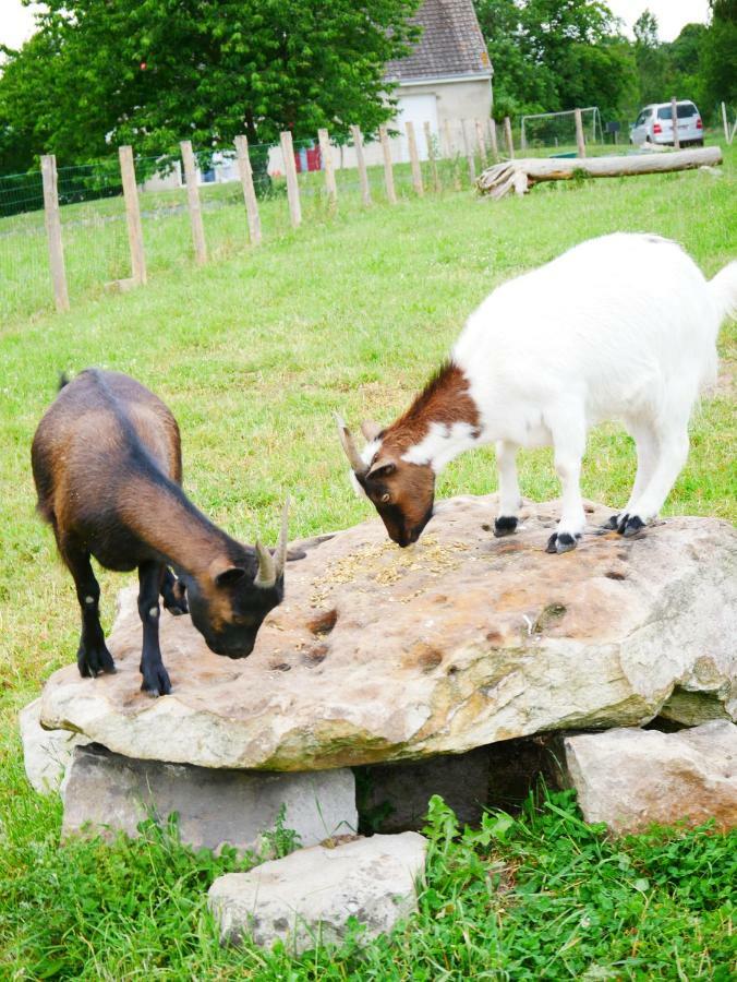 Studio En Vallee Du Loir 20Km Du Zoo Saint-Jean-de-la-Motte 外观 照片