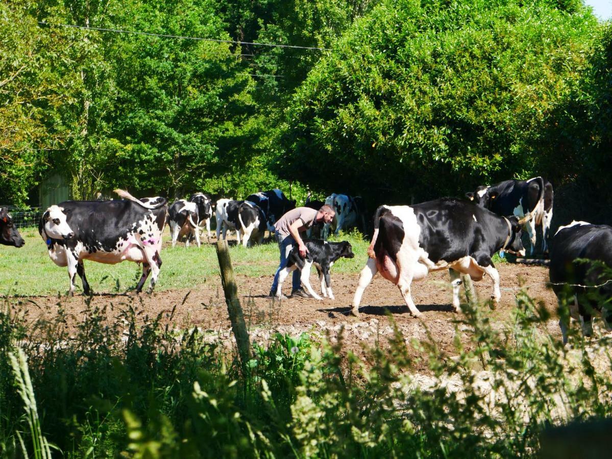 Studio En Vallee Du Loir 20Km Du Zoo Saint-Jean-de-la-Motte 外观 照片