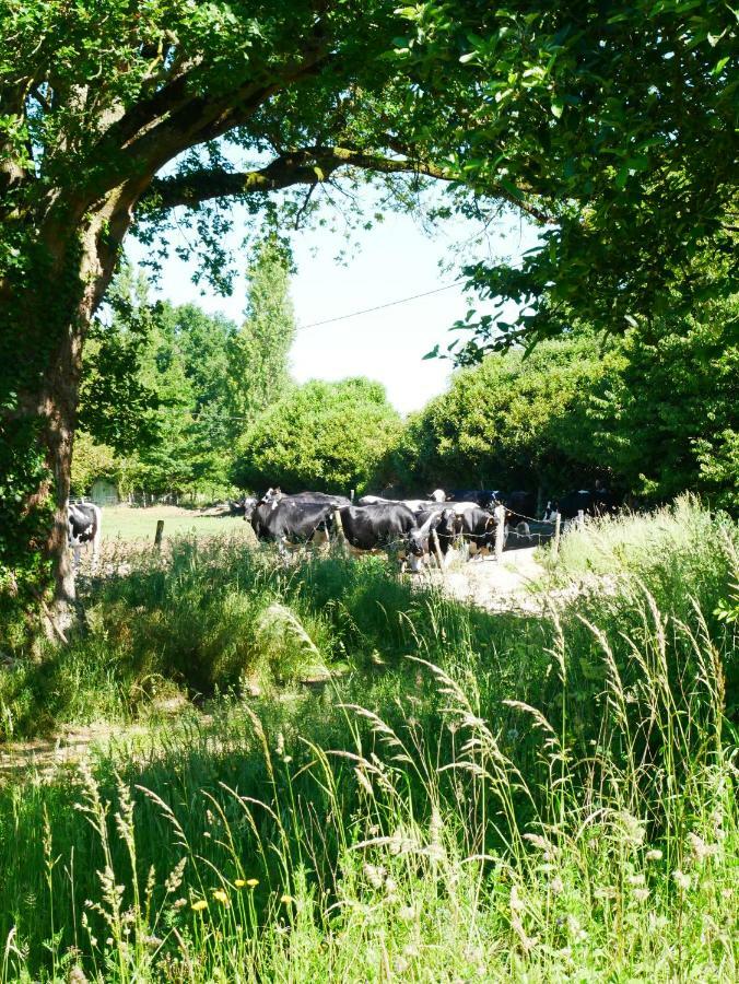 Studio En Vallee Du Loir 20Km Du Zoo Saint-Jean-de-la-Motte 外观 照片